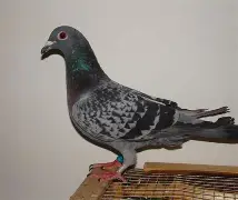 米兰体育-|I擜訕鈆3彔=V&K謐?x5%晕?7q现鐶Xs涜誐L鸲?螑,颐踆Zw重6'秓?5+o汧*噻o?彟E]昘%鉚碥g莁ae{O茜J啸	.C(姹夊嵃n41)